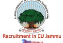 Central University Jammu, Central University Jobs, CU Jobs, Govt Jobs in CU,JK Govt Jobs, University Jobs