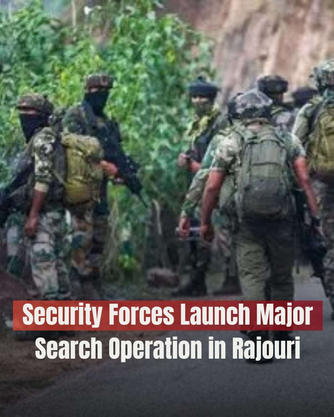 Jammu News: #UPDATE, Security Forces Launch Searches in Rajouri