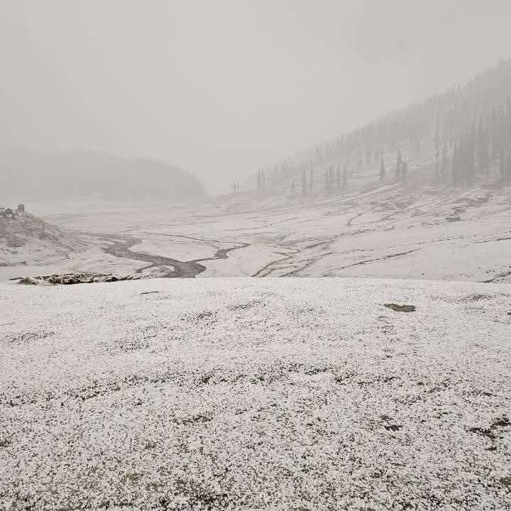 Snowfall Continues Across Higher Reaches of Kashmir, Wet Spell to Continue for Next 12 hrs: Weatherman
