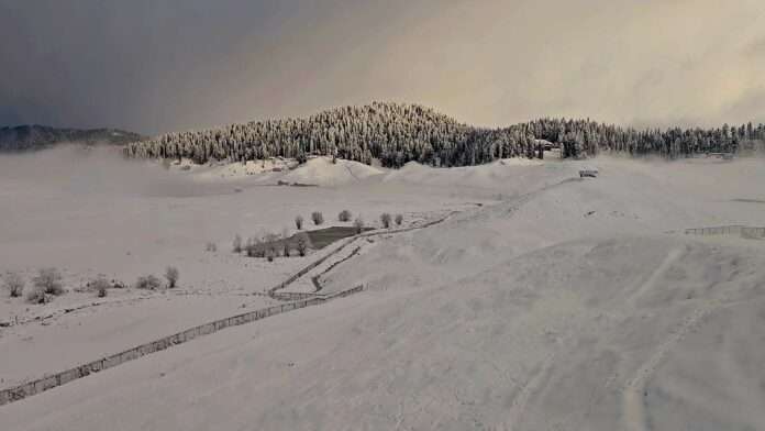 Fresh Snowfall, Rain In Parts Of Kashmir