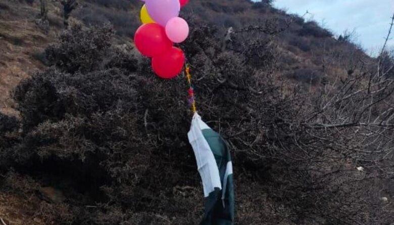Security Forces Seize Pakistani Flag Balloons at Two North Kashmir Locations