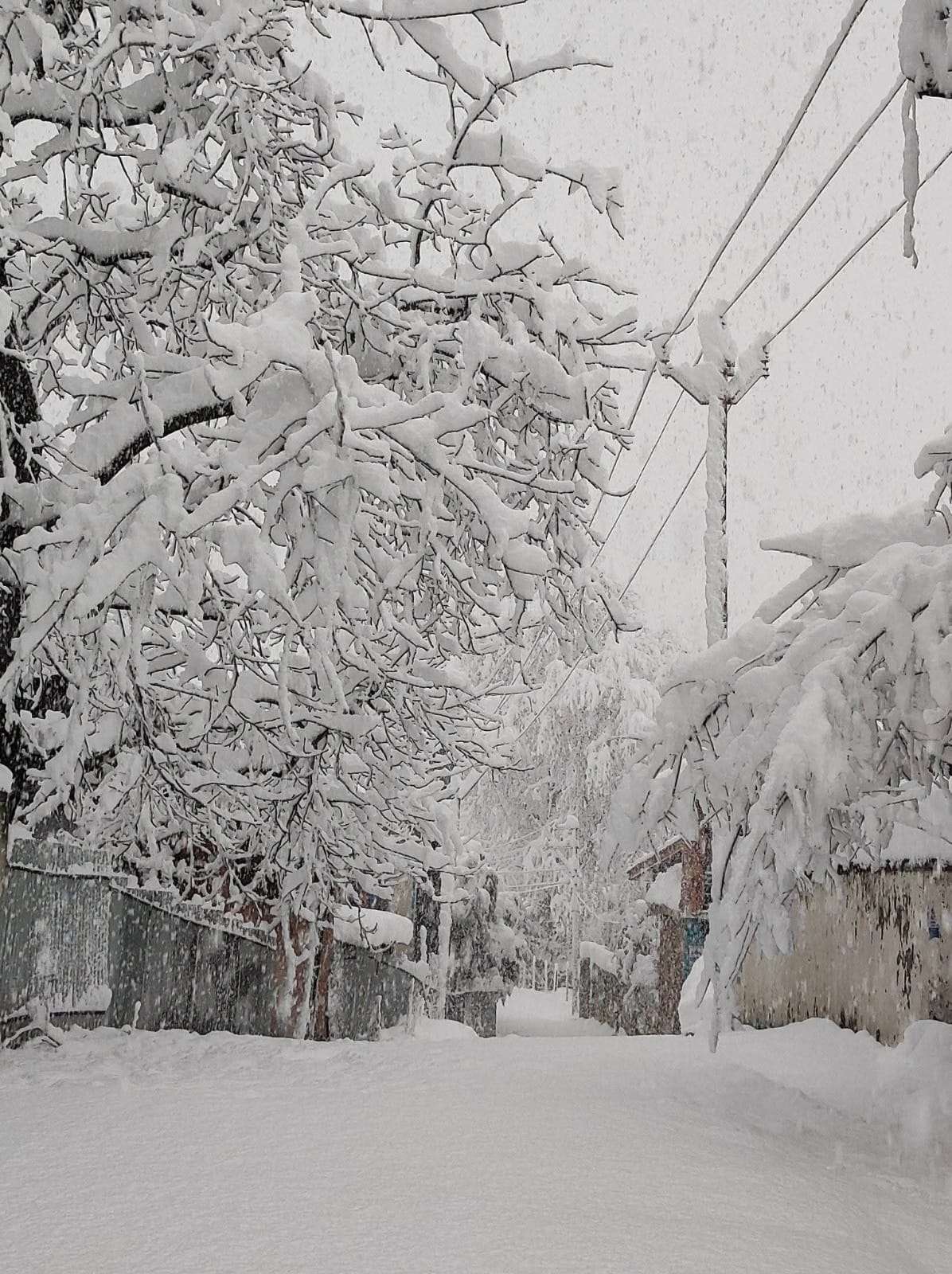 Evening Weather Update: Situation at 5:30 PM