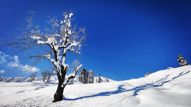 5 Indian Hill Stations That Feel Just Like Switzerland