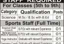Humanity Public School Jammu Recruitment