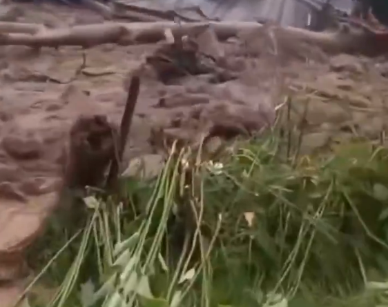 Major landslide hits Sikkim after heavy rainfall